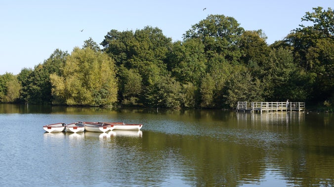 View across the corner of the lake on a bright sunny day in summer, with rowing boats on the lake, a jetty and a backdrop of trees